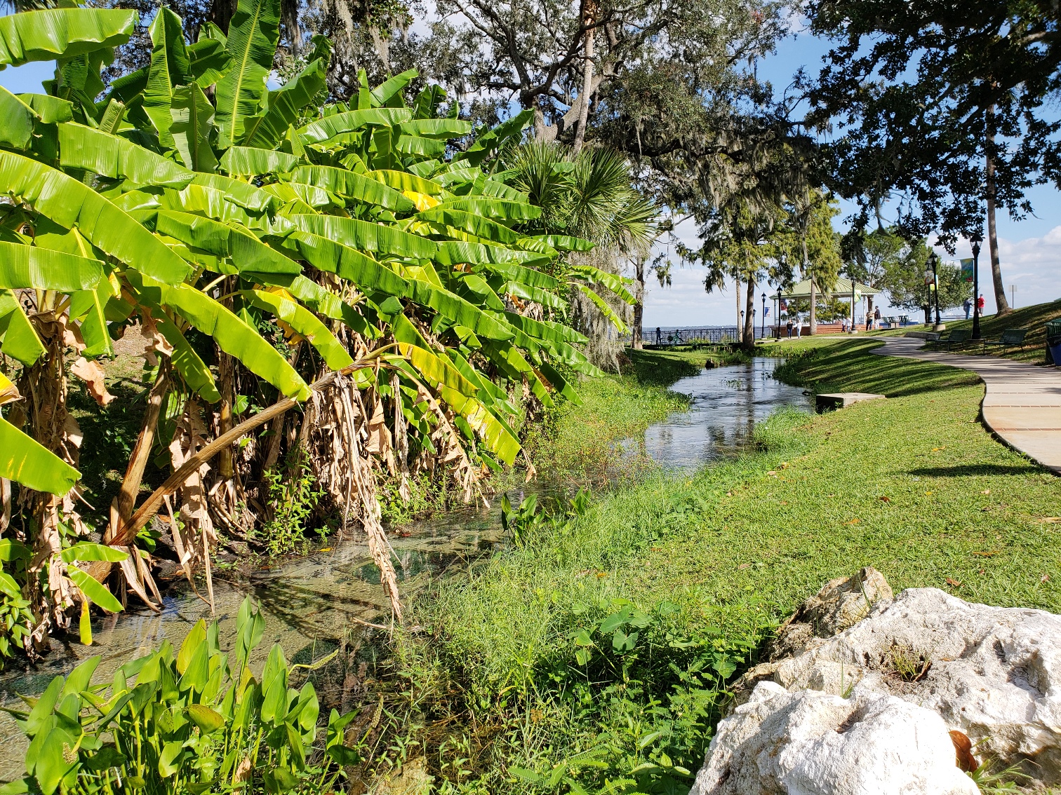 Green Cove Springs Florida Park St Johns River